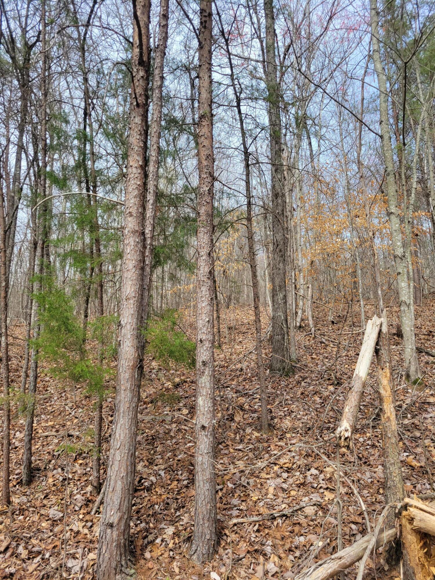 0 Selcer Road Hixson, TN 37343 - Photo 2 of 12 20230311_114318