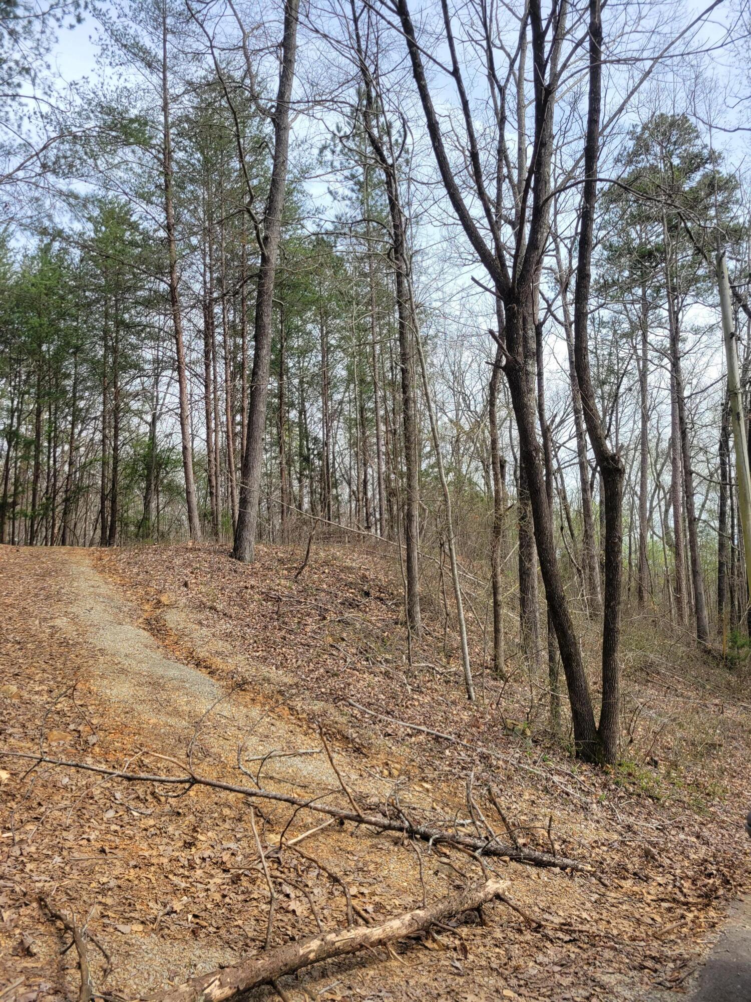 0 Selcer Road Hixson, TN 37343 - Photo 3 of 12 20230311_114323