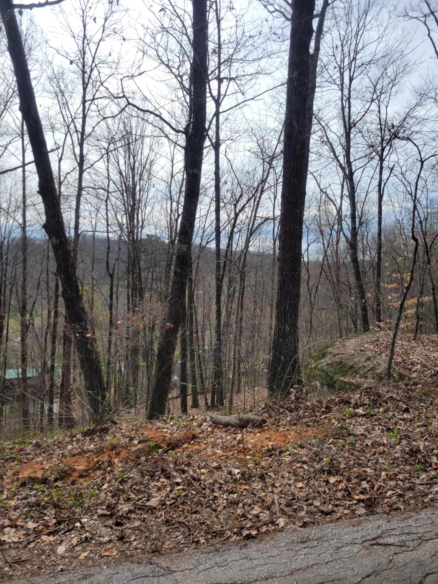 0 Selcer Road Hixson, TN 37343 - Photo 4 of 12 20230311_114329