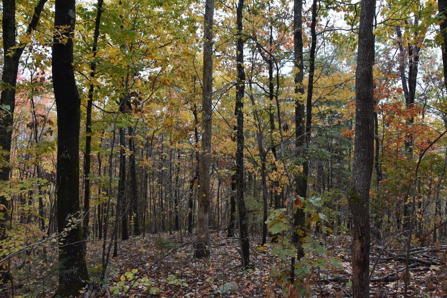 0 Selcer Road Hixson, TN 37343 - Photo 7 of 12 20220303214852374924000000-o