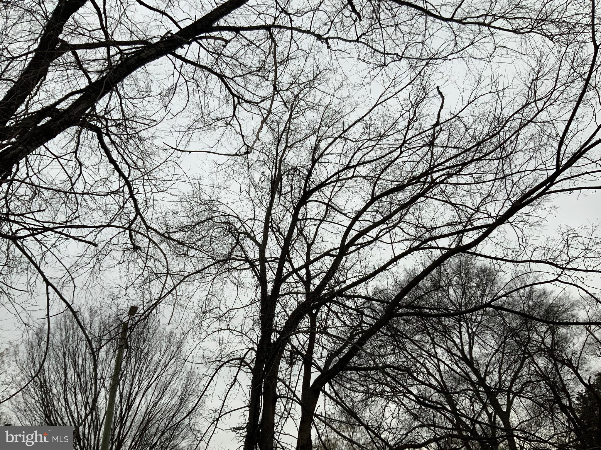 9414 Taney Road Manassas, VA 20110 - Photo 44 of 46 VIEW FROM THE DECK