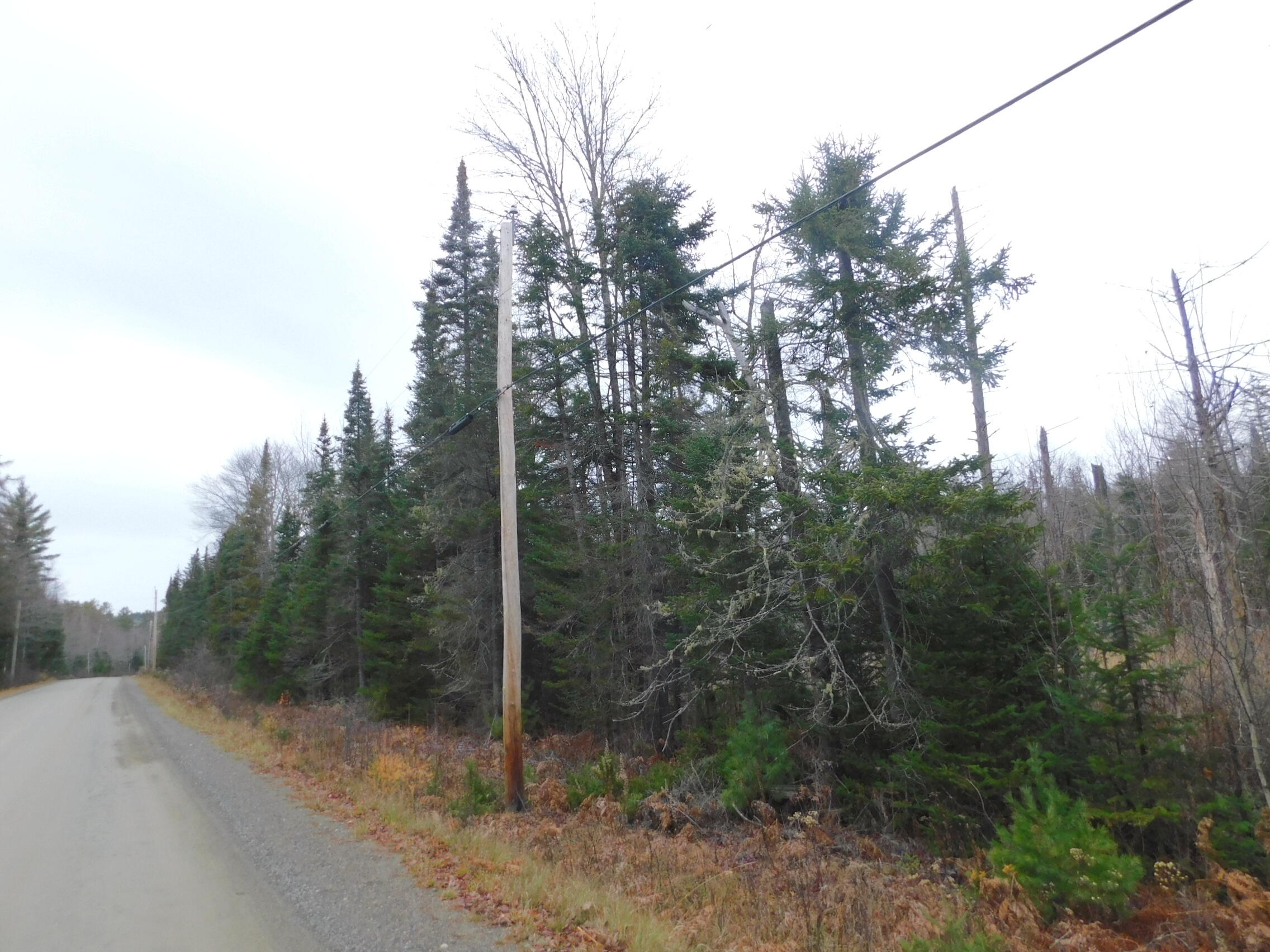 57 Bert Berry Road Concord Township, ME 04920 - Photo 12 of 20 DSCN2780