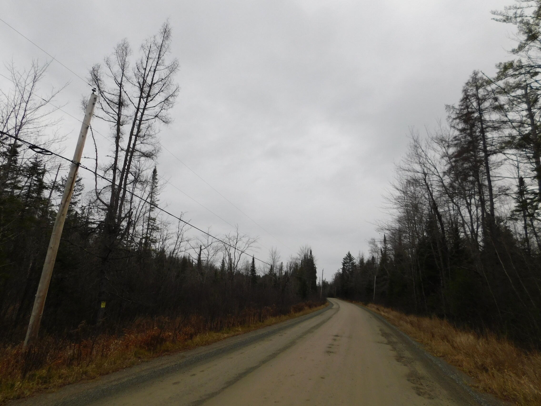 57 Bert Berry Road Concord Township, ME 04920 - Photo 13 of 20 DSCN2776