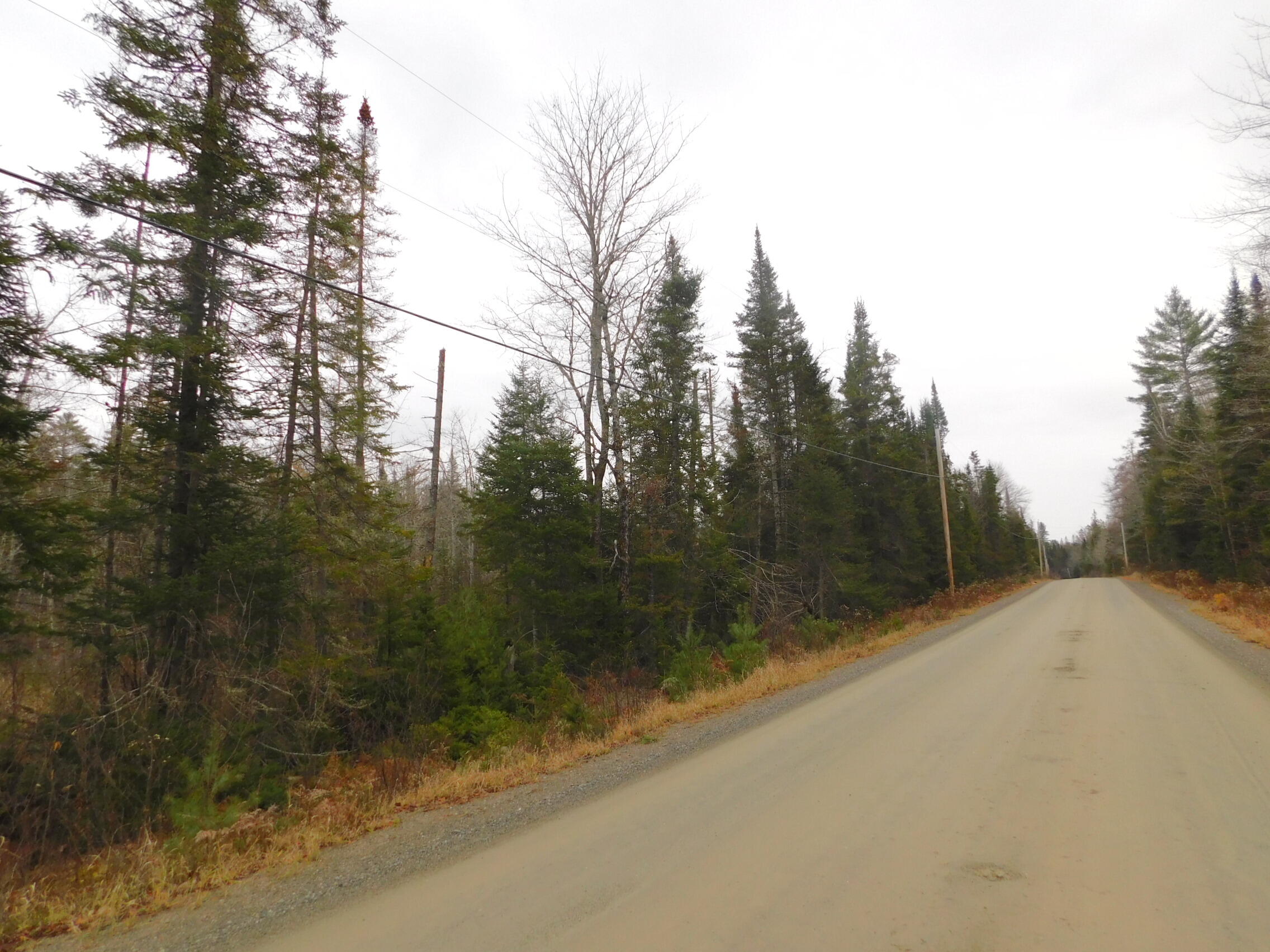 57 Bert Berry Road Concord Township, ME 04920 - Photo 14 of 20 DSCN2778