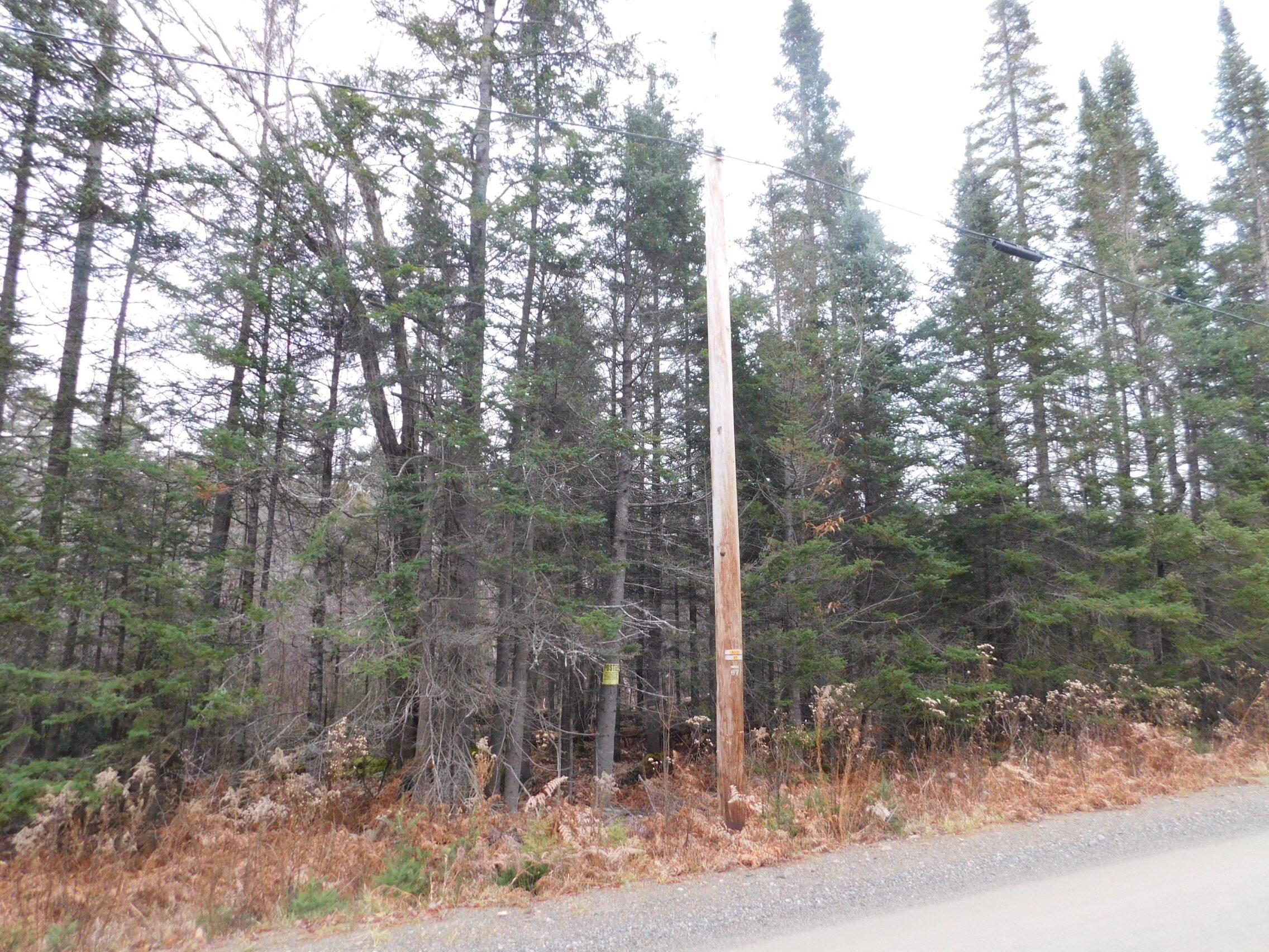 57 Bert Berry Road Concord Township, ME 04920 - Photo 15 of 20 DSCN2779