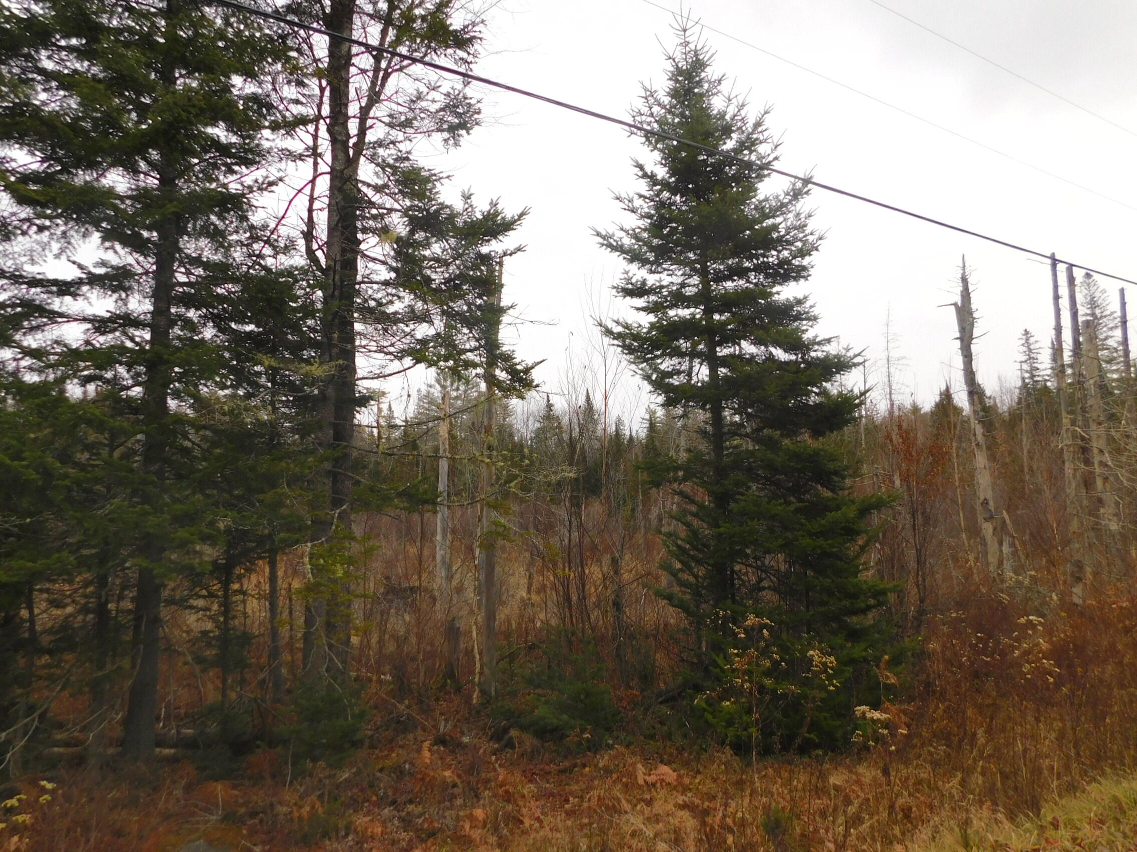 57 Bert Berry Road Concord Township, ME 04920 - Photo 16 of 20 DSCN2781