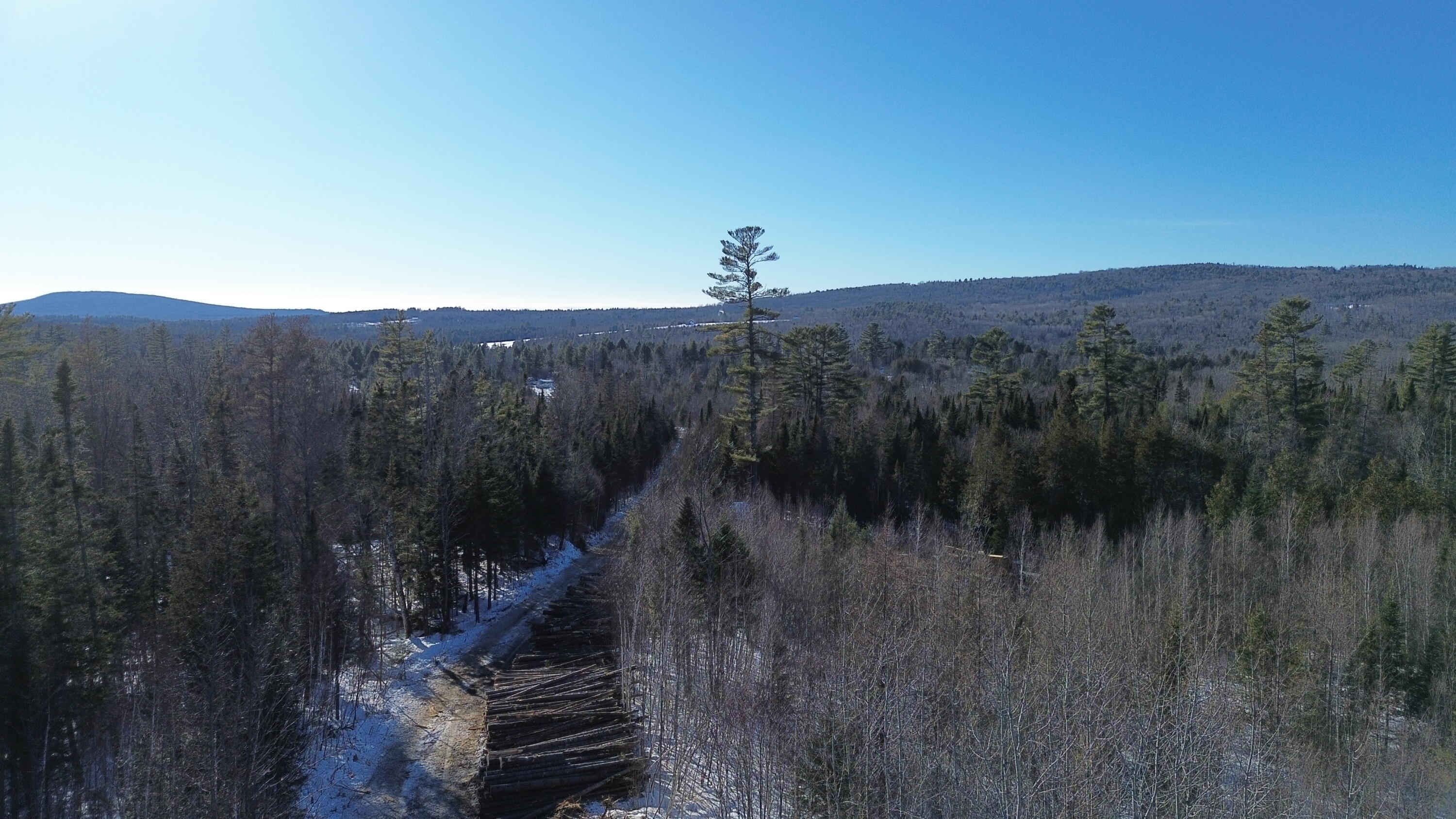 57 Bert Berry Road Concord Township, ME 04920 - Photo 2 of 20 DJI_0654