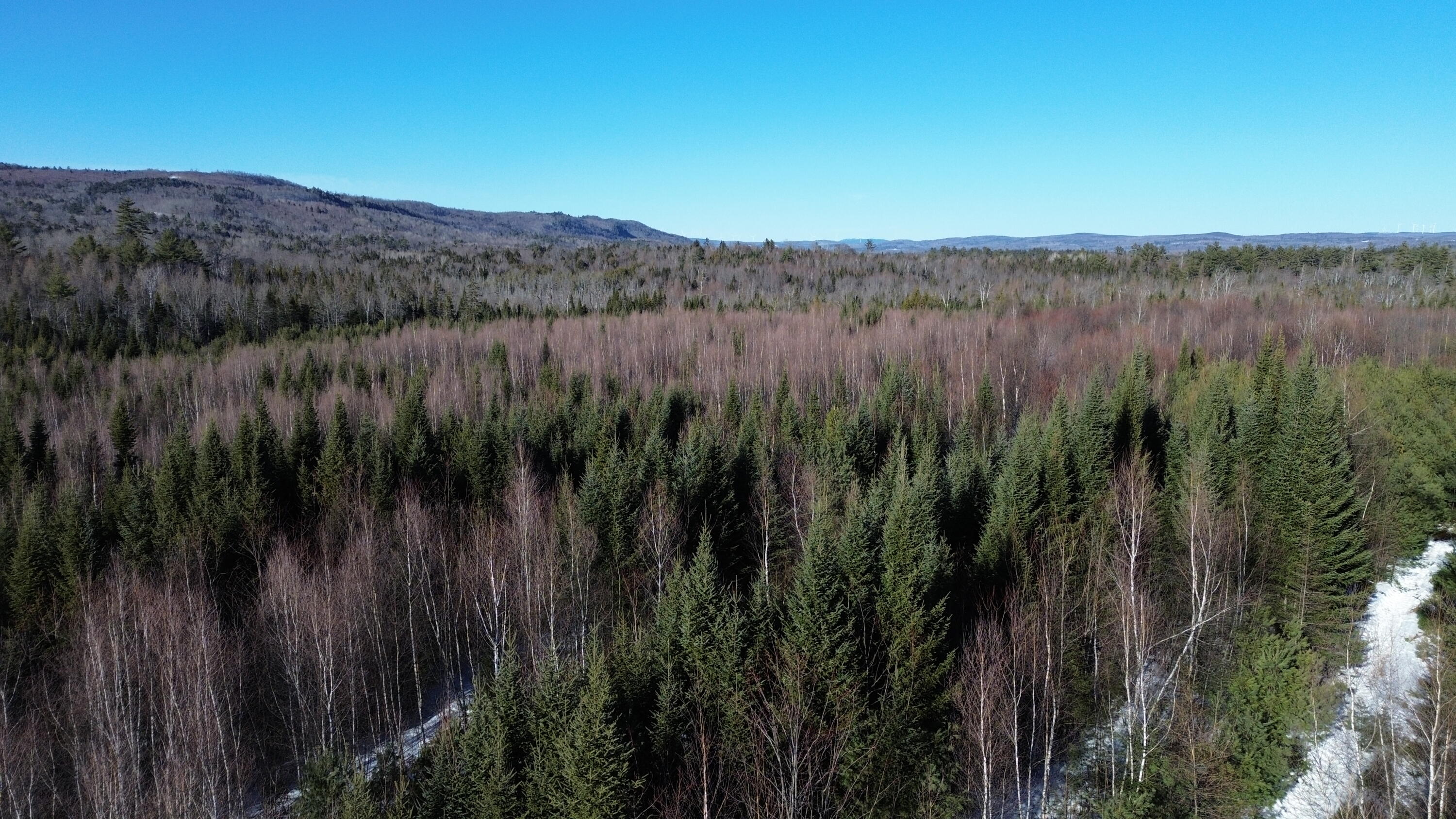 57 Bert Berry Road Concord Township, ME 04920 - Photo 4 of 20 DJI_0662