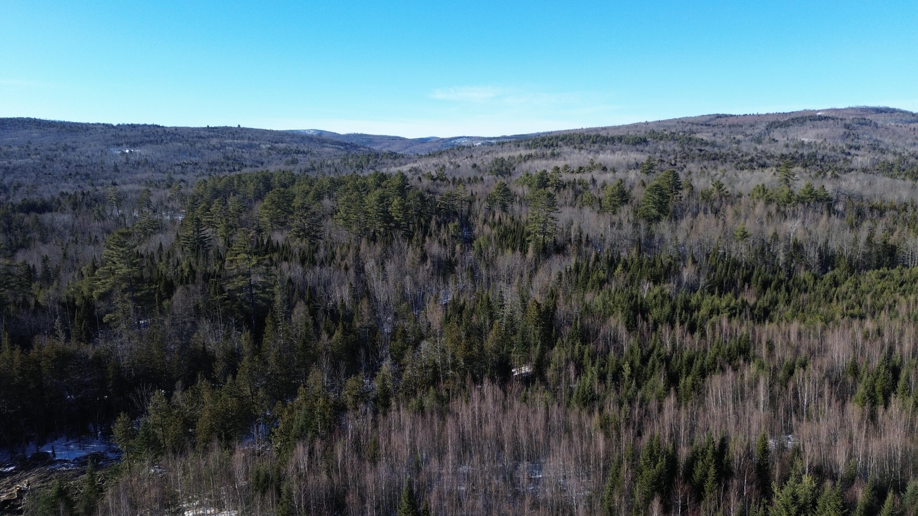 57 Bert Berry Road Concord Township, ME 04920 - Photo 5 of 20 DJI_0657