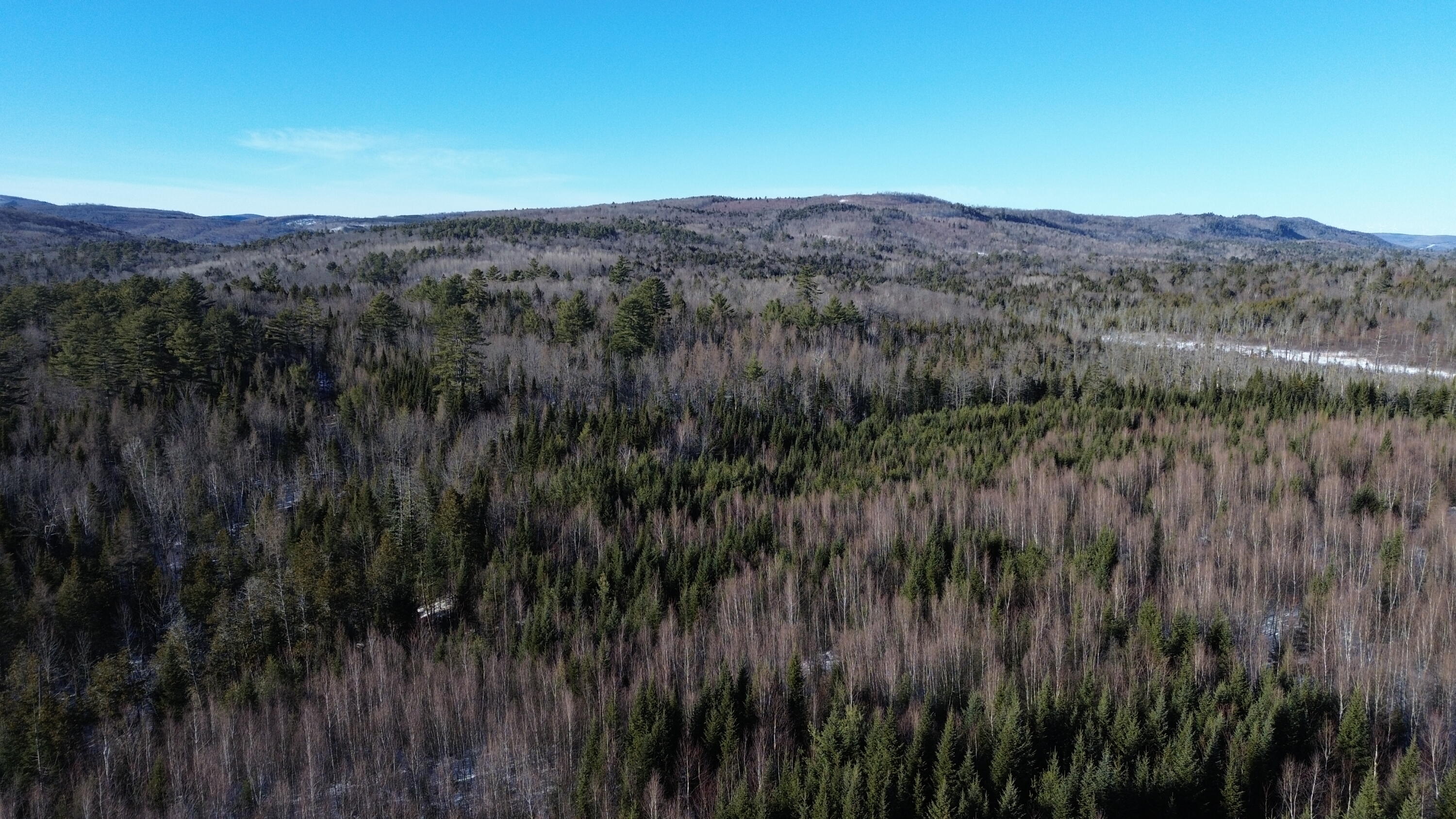 57 Bert Berry Road Concord Township, ME 04920 - Photo 6 of 20 DJI_0658