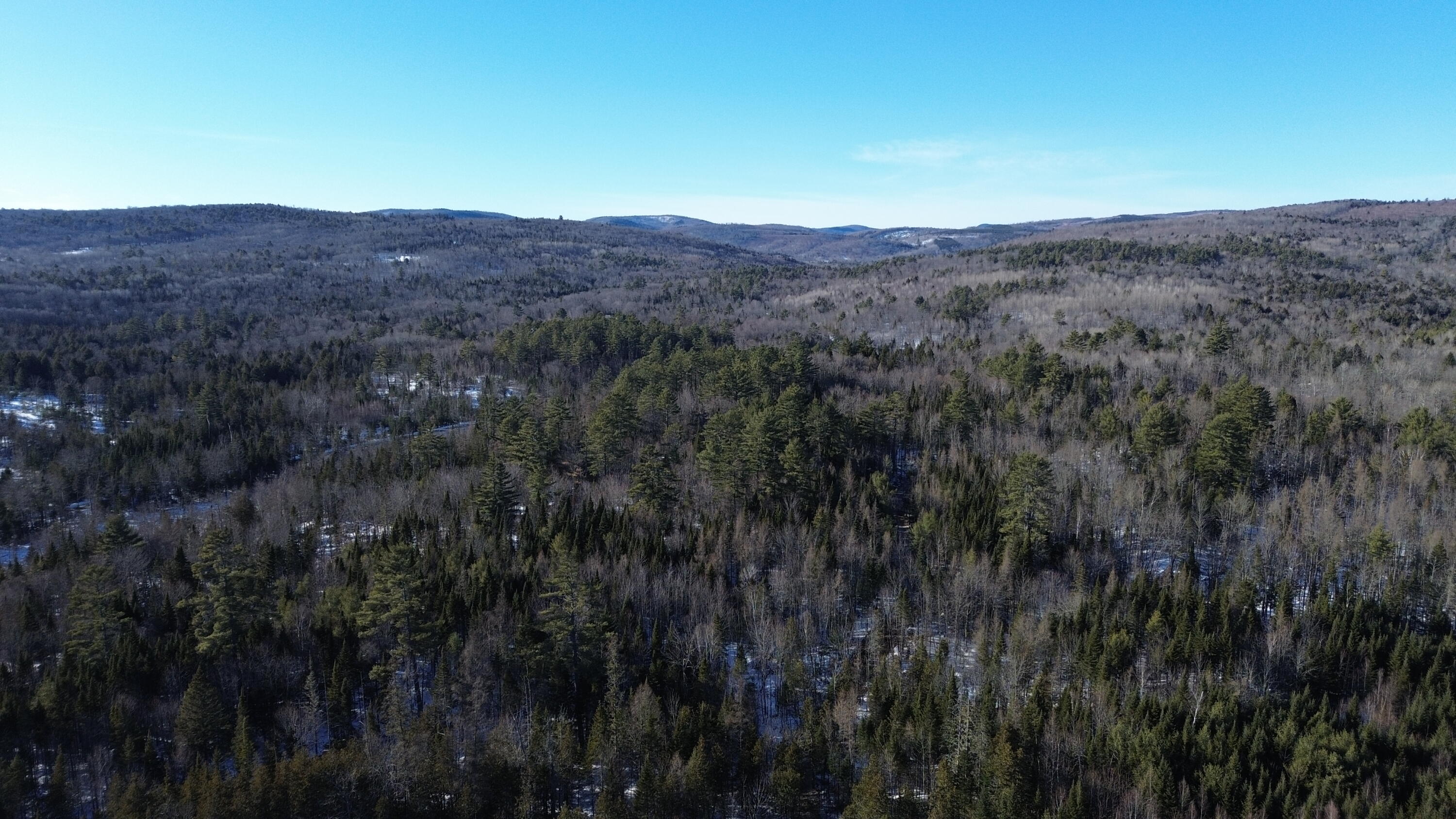 57 Bert Berry Road Concord Township, ME 04920 - Photo 7 of 20 DJI_0659