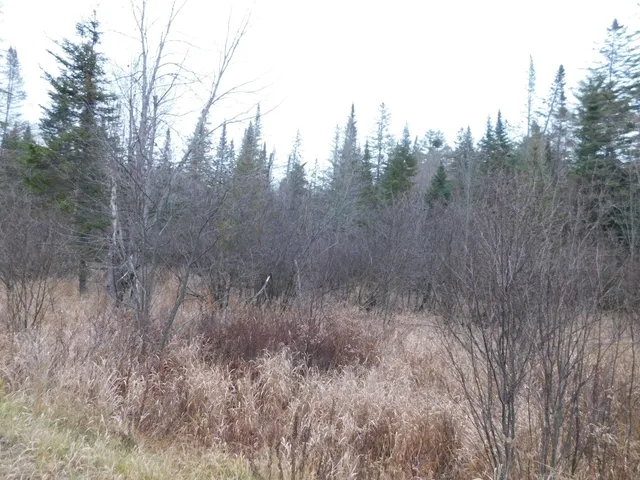 $389,000 | 57 Bert Berry Road, Concord Township, ME 04920