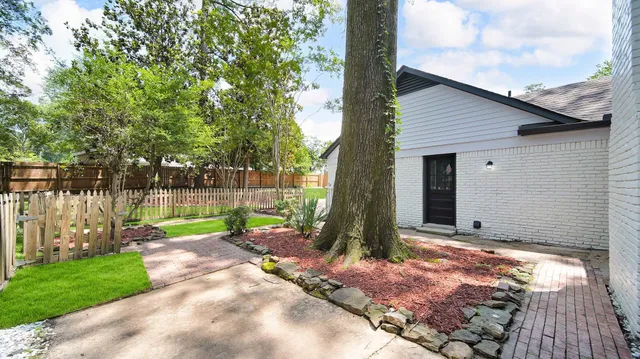 a view of backyard with tree
