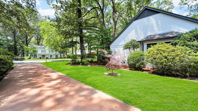 a backyard of a house with plants and large tree