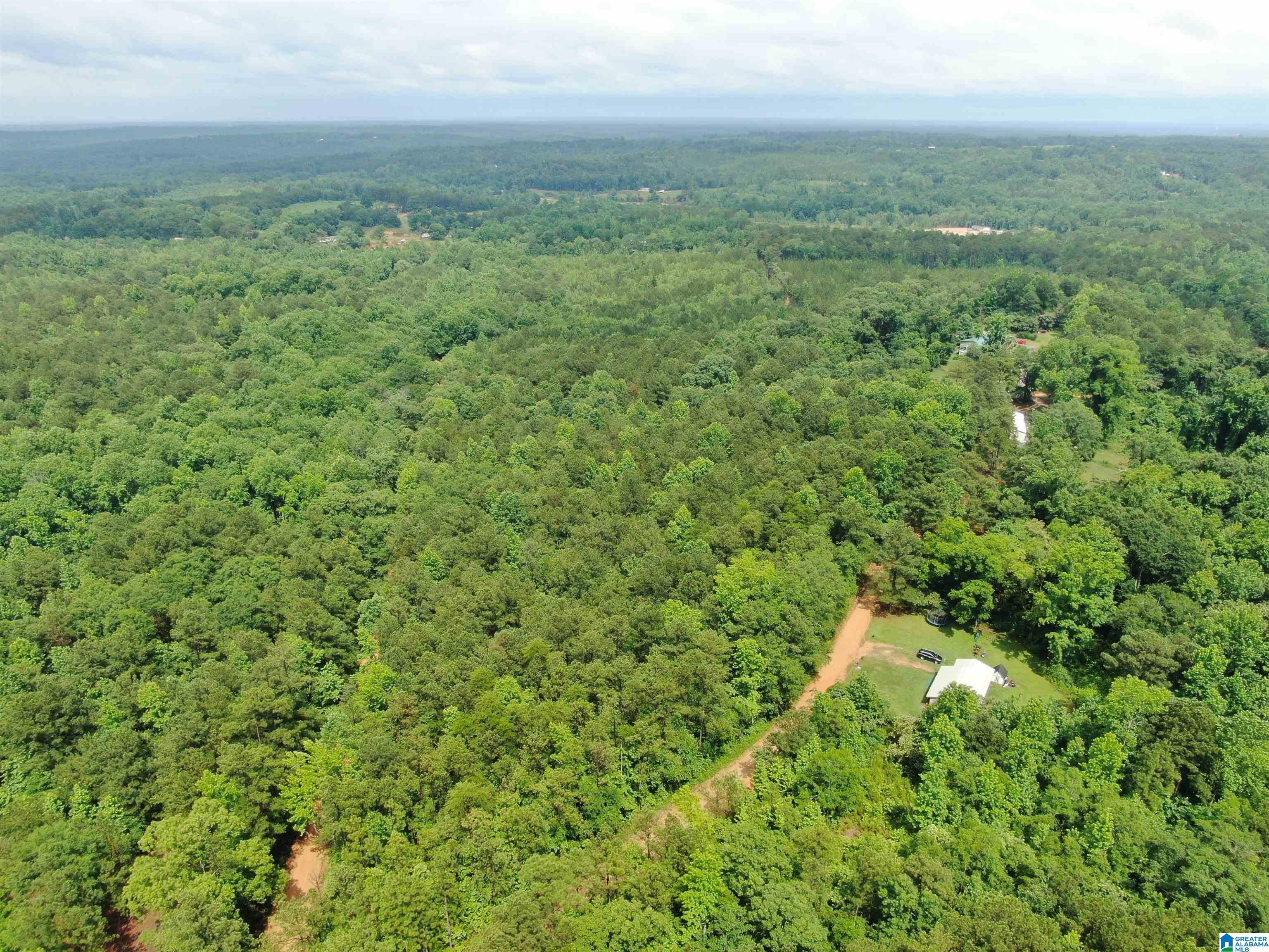 536 County Road, Unit 1 Marbury, AL 36051 - Photo 5 of 12