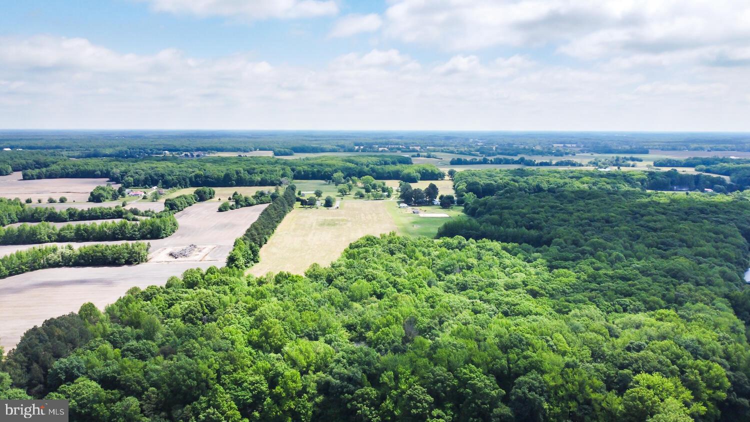 Duhamel Corner Road Marydel, MD 21649 - Photo 11 of 13