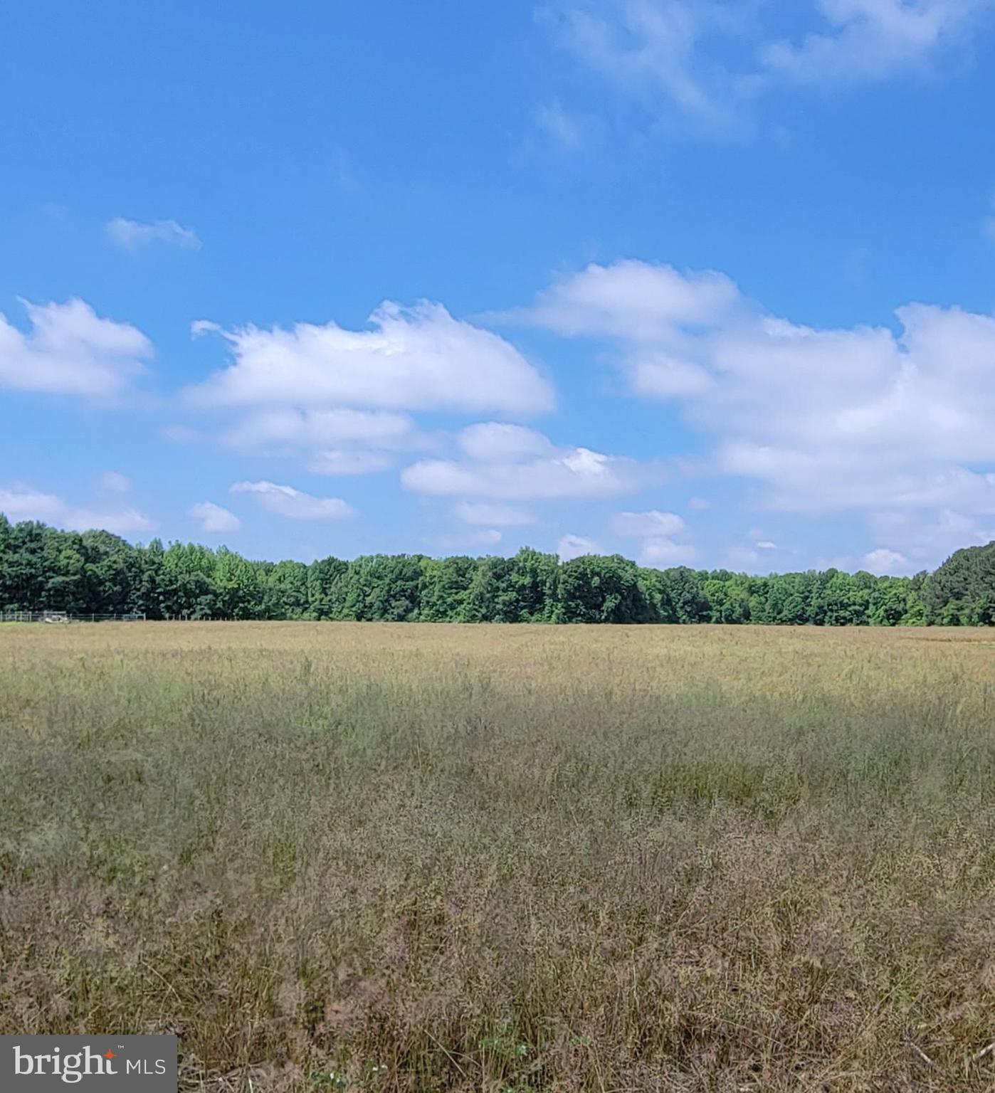 Duhamel Corner Road Marydel, MD 21649 - Photo 12 of 13