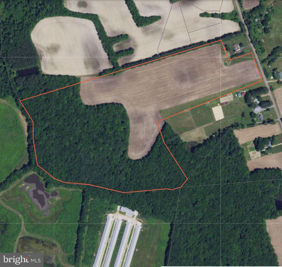Duhamel Corner Road Marydel, MD 21649 - Photo 13 of 13