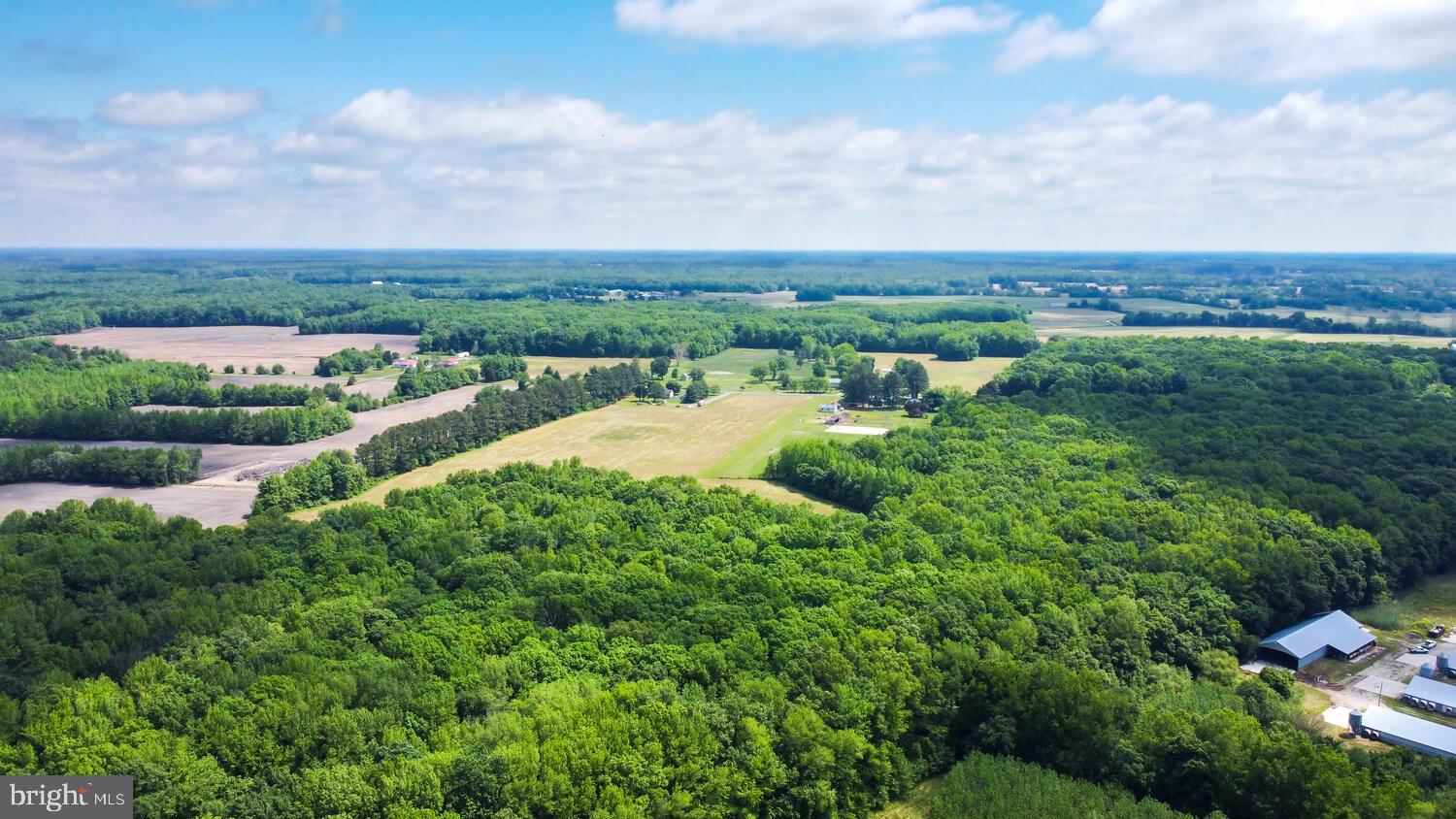 Duhamel Corner Road Marydel, MD 21649 - Photo 2 of 13
