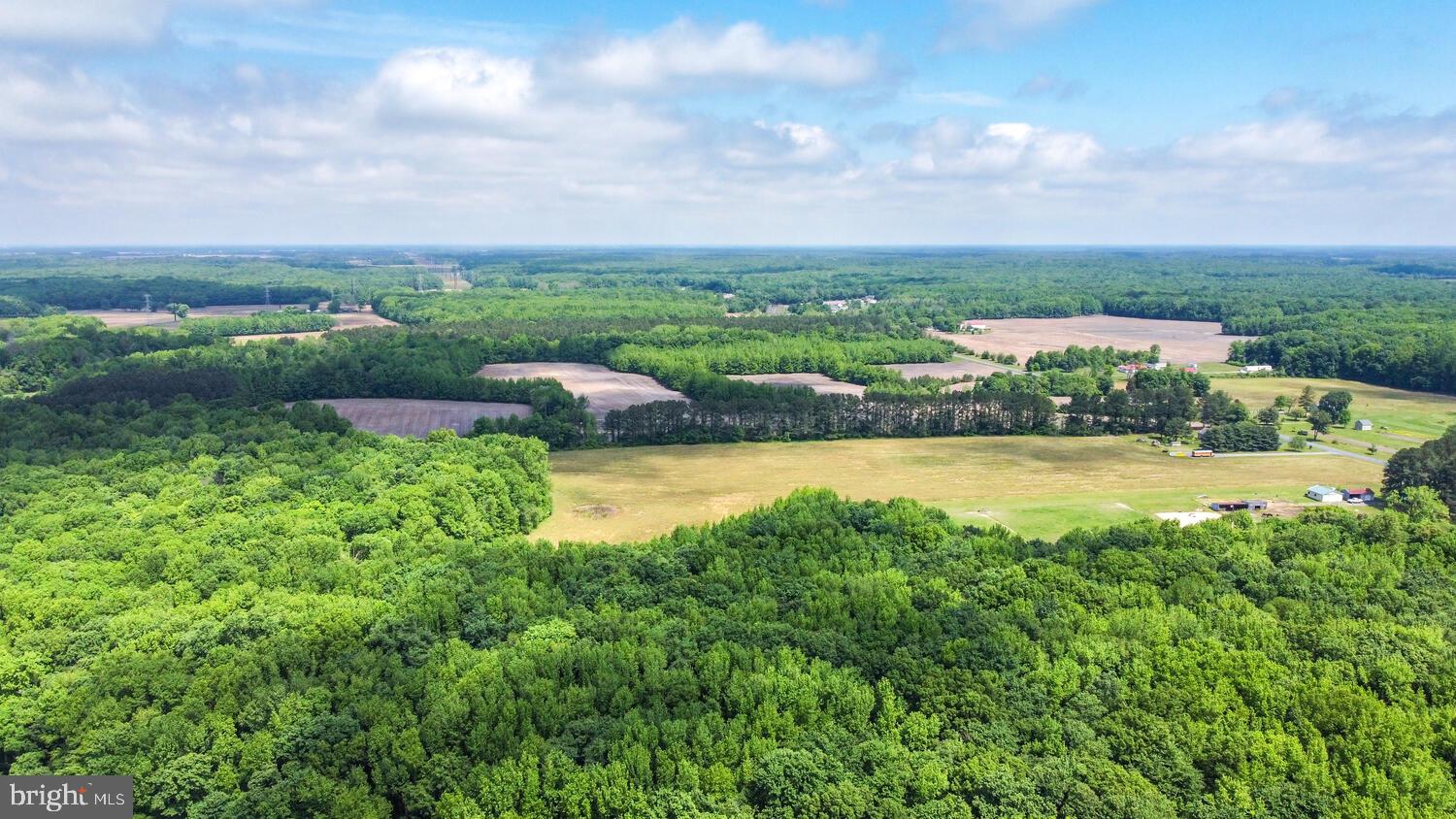 Duhamel Corner Road Marydel, MD 21649 - Photo 4 of 13