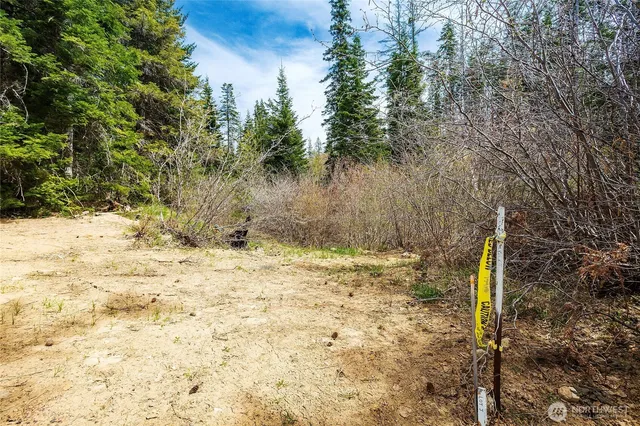 a view of a yard covered in snow