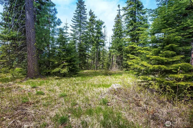 a view of outdoor space and green space