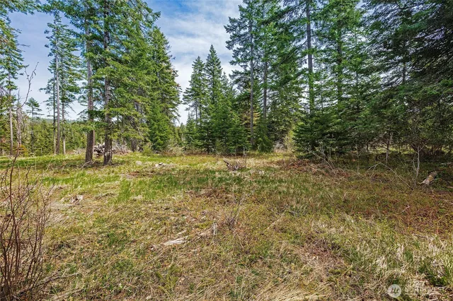 a view of outdoor space with trees all around