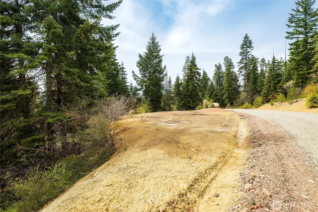 a view of back yard of the house