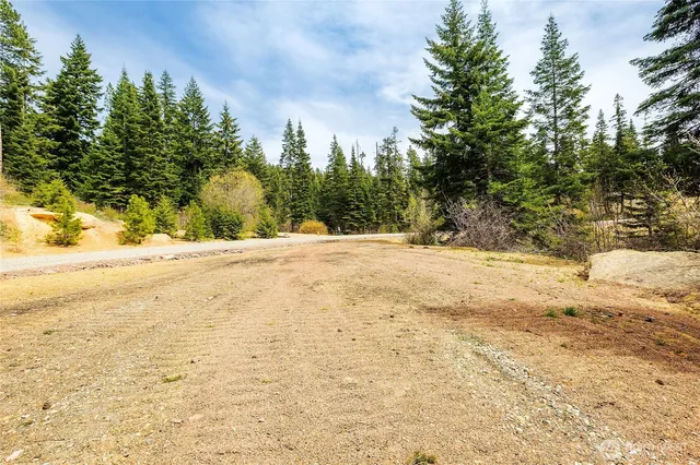 a view of large yard