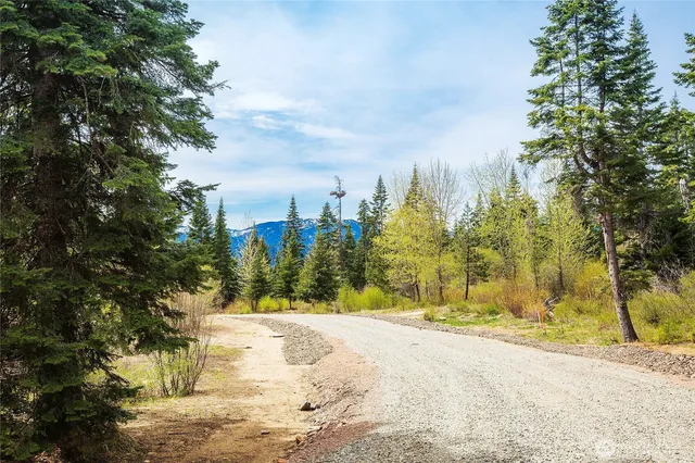 a view of a yard with plants and trees