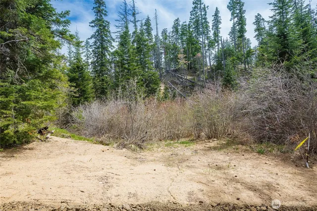 a view of small yard