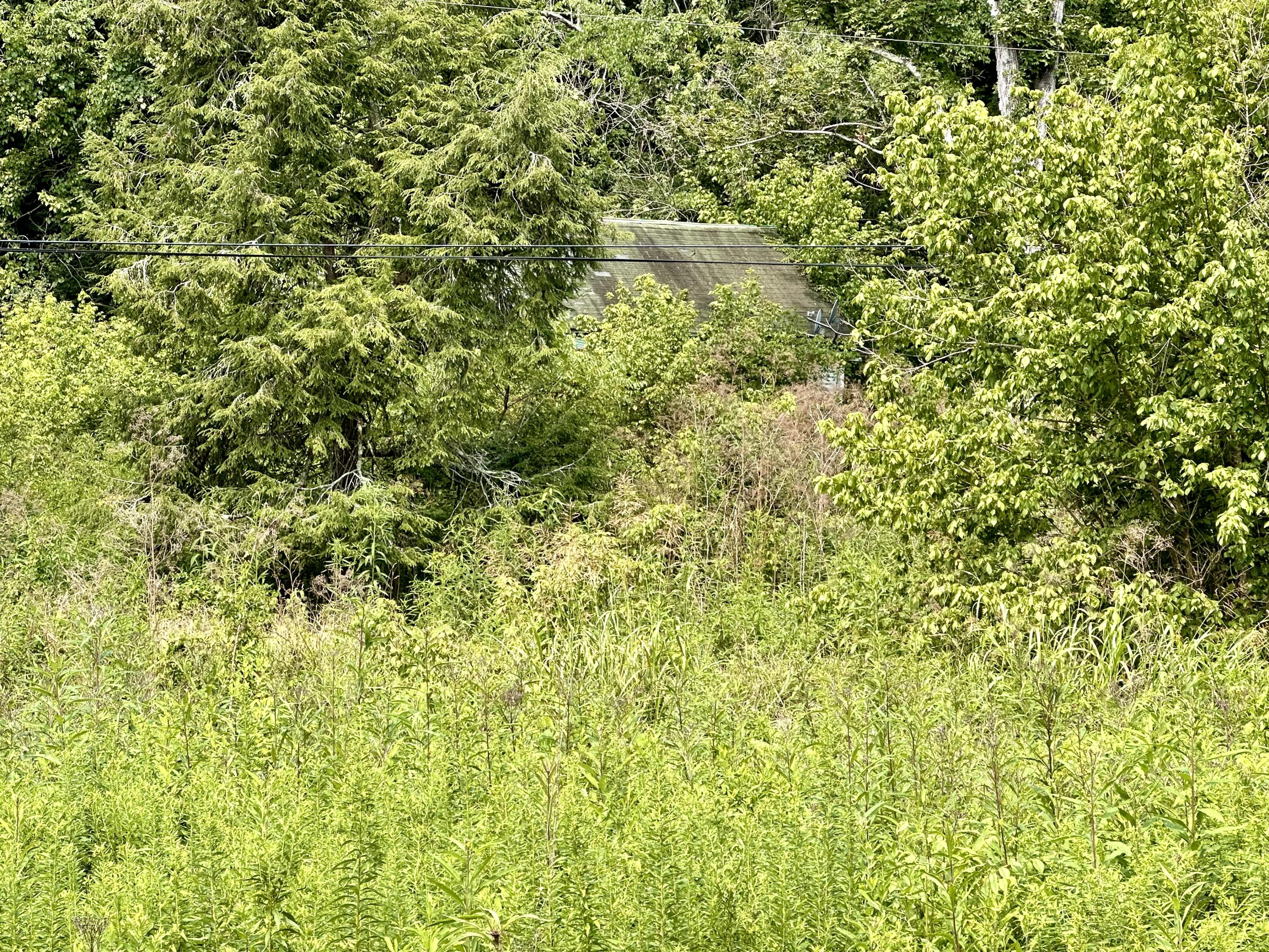 839 Saltwell Road Carlisle, KY 40311 - Photo 8 of 20 IMG_2128