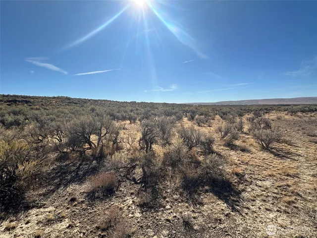 wooden view of city and mountain