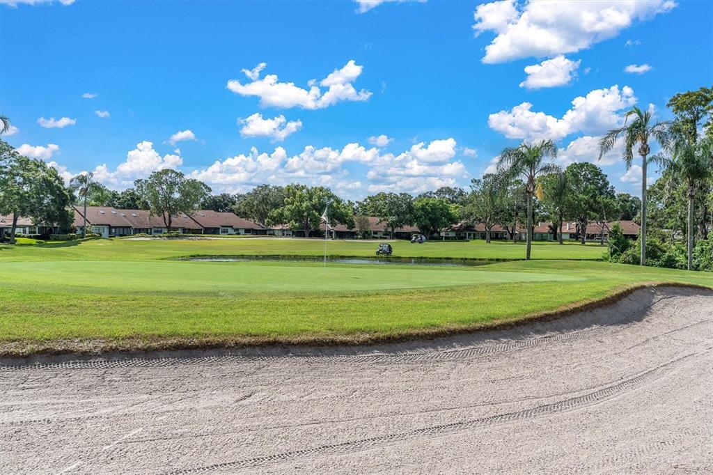 9312 Golf View Drive, Unit 3 New Port Richey, FL 34655 - Photo 32 of 32