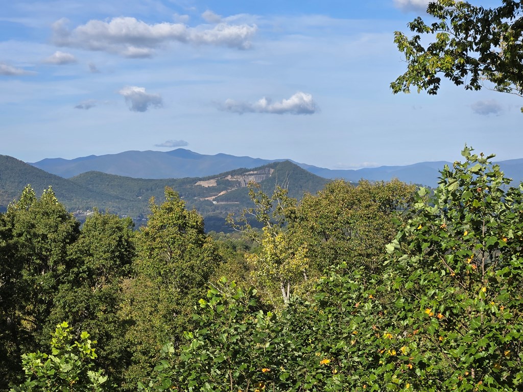 368 Ivy Log Heights Road Young Harris, GA 30582 - Photo 5 of 55