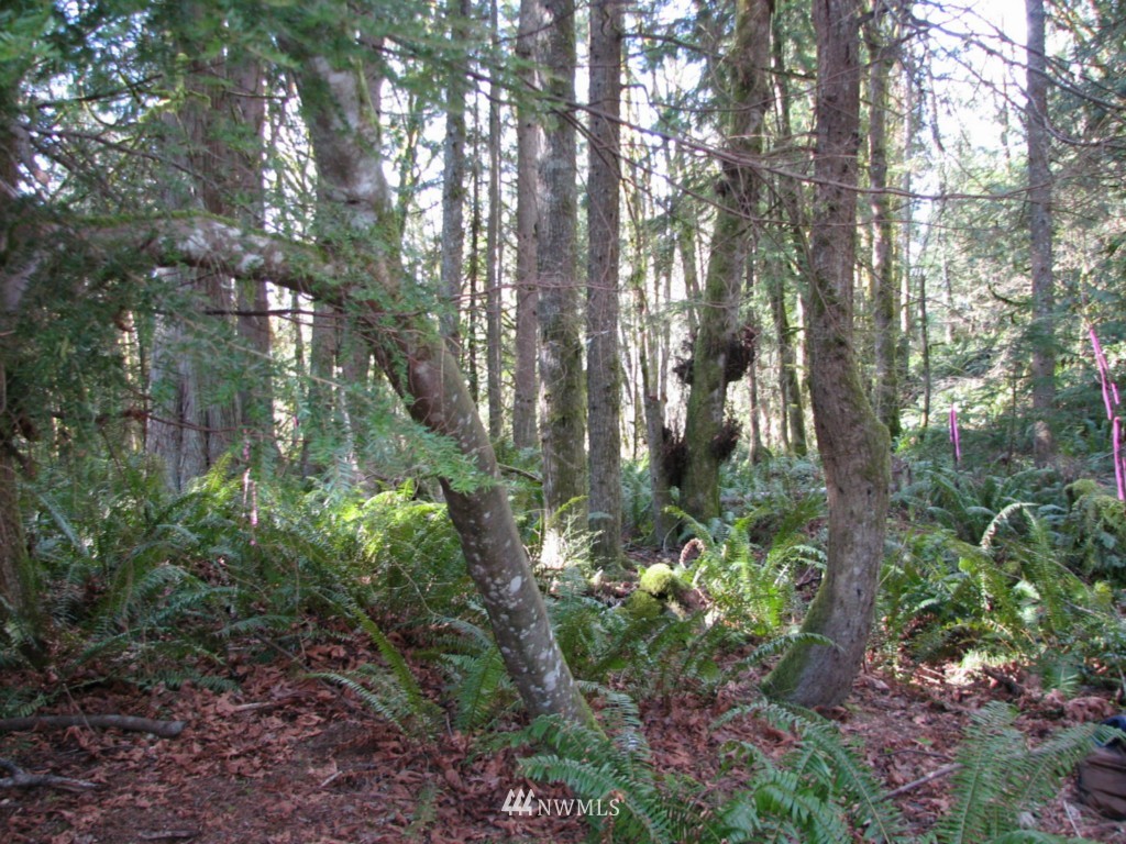18505 Jordan Road Arlington, WA 98223 - Photo 13 of 15 Gallery Image 13