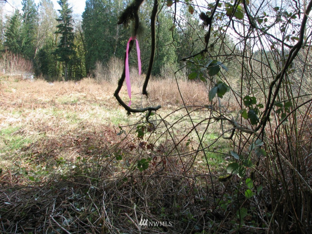 18505 Jordan Road Arlington, WA 98223 - Photo 15 of 15 Gallery Image 15