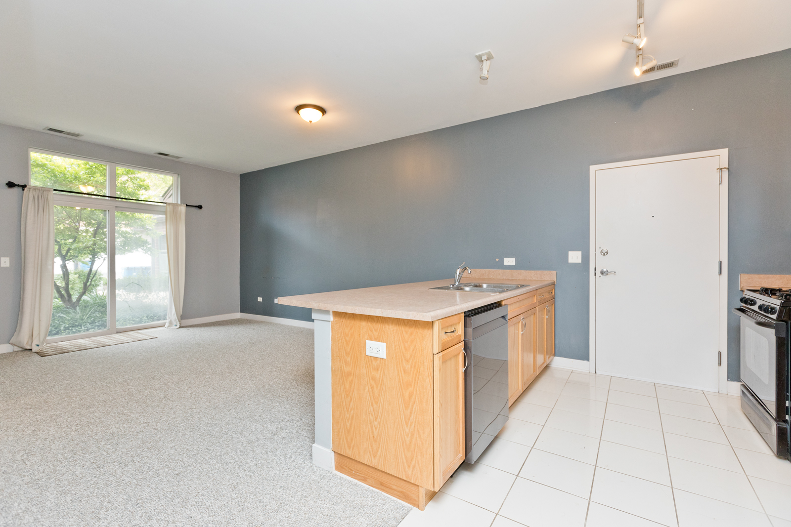 1515 South Halsted Street, Unit 214 Chicago, IL 60607 - Photo 6 of 15