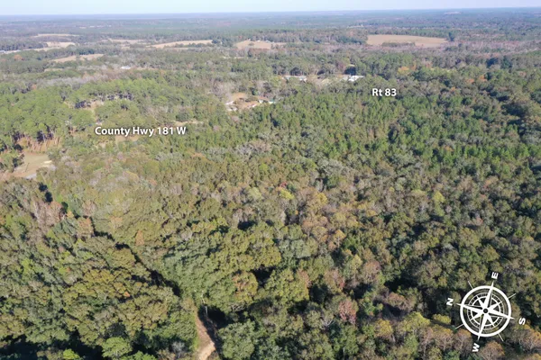 an aerial view of forest