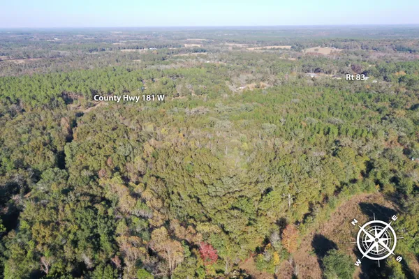 a view of a wooden wall with lots of bushes
