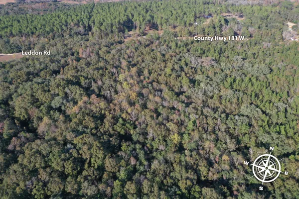 a view of a bunch of trees and bushes