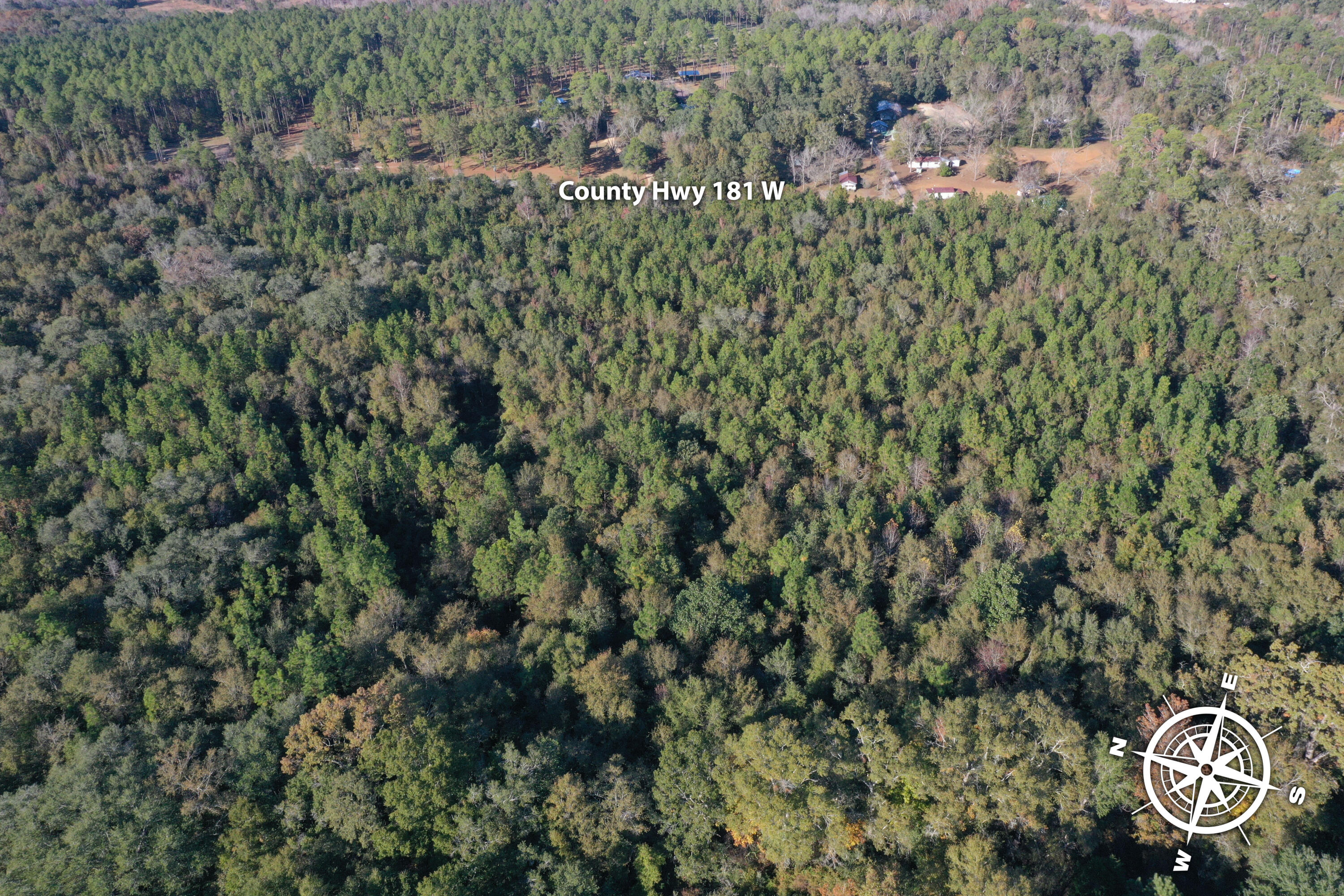 0 West Co Highway DeFuniak Springs, FL 32433 - Photo 6 of 9 a view of a bunch of trees and bushes