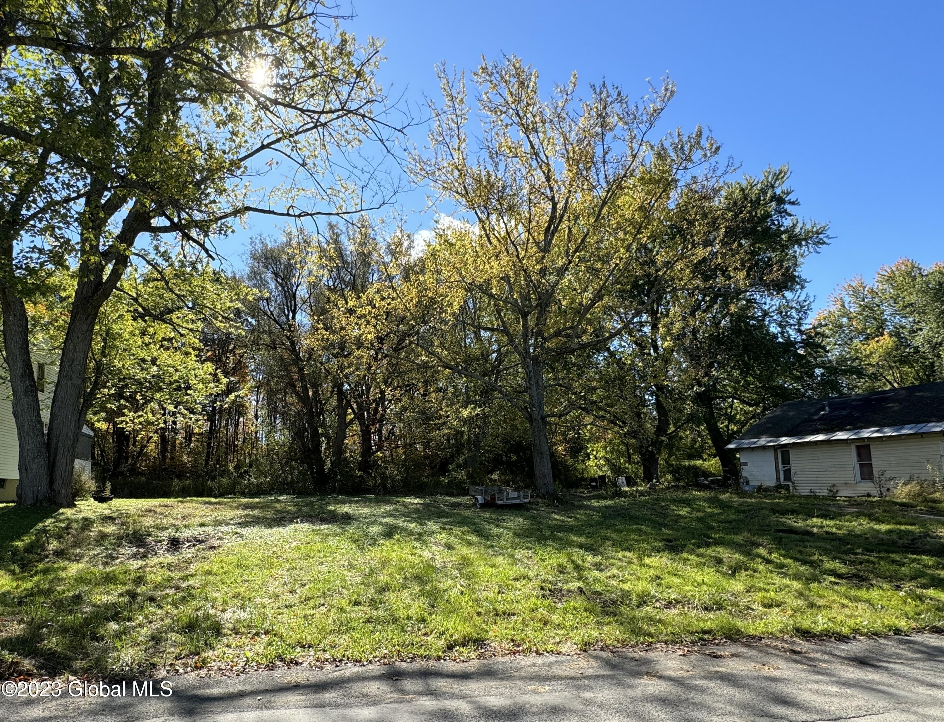 180 Spring Road Delanson, NY 12053 - Photo 2 of 11 IMG_0005