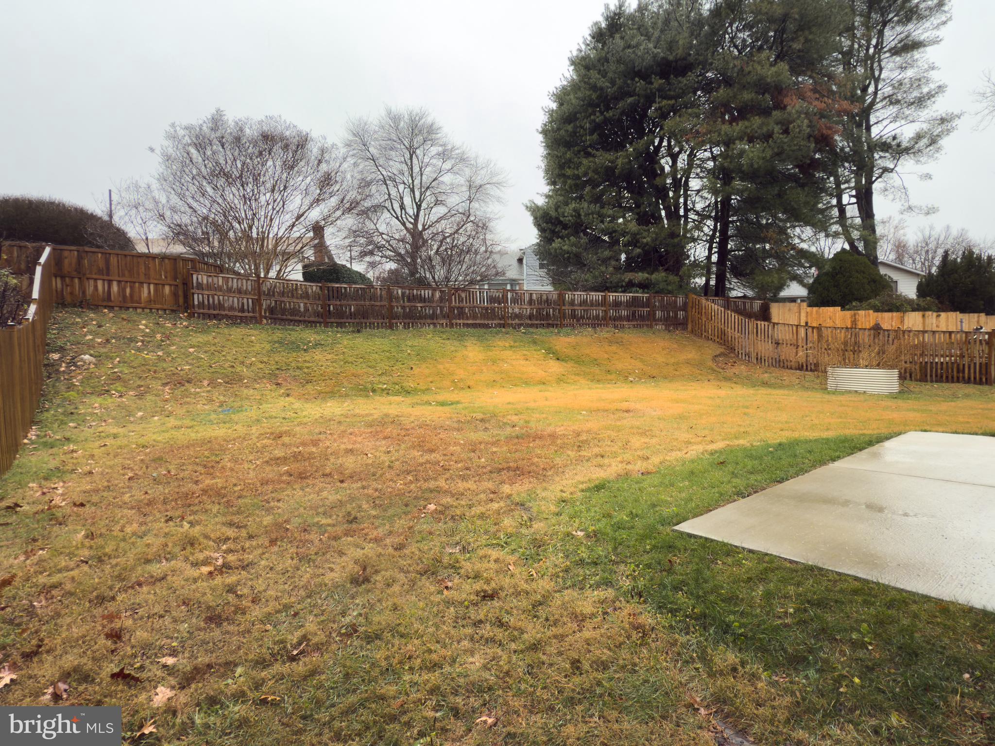 12826 Camellia Drive Silver Spring, MD 20906 - Photo 5 of 30 Fenced backyard