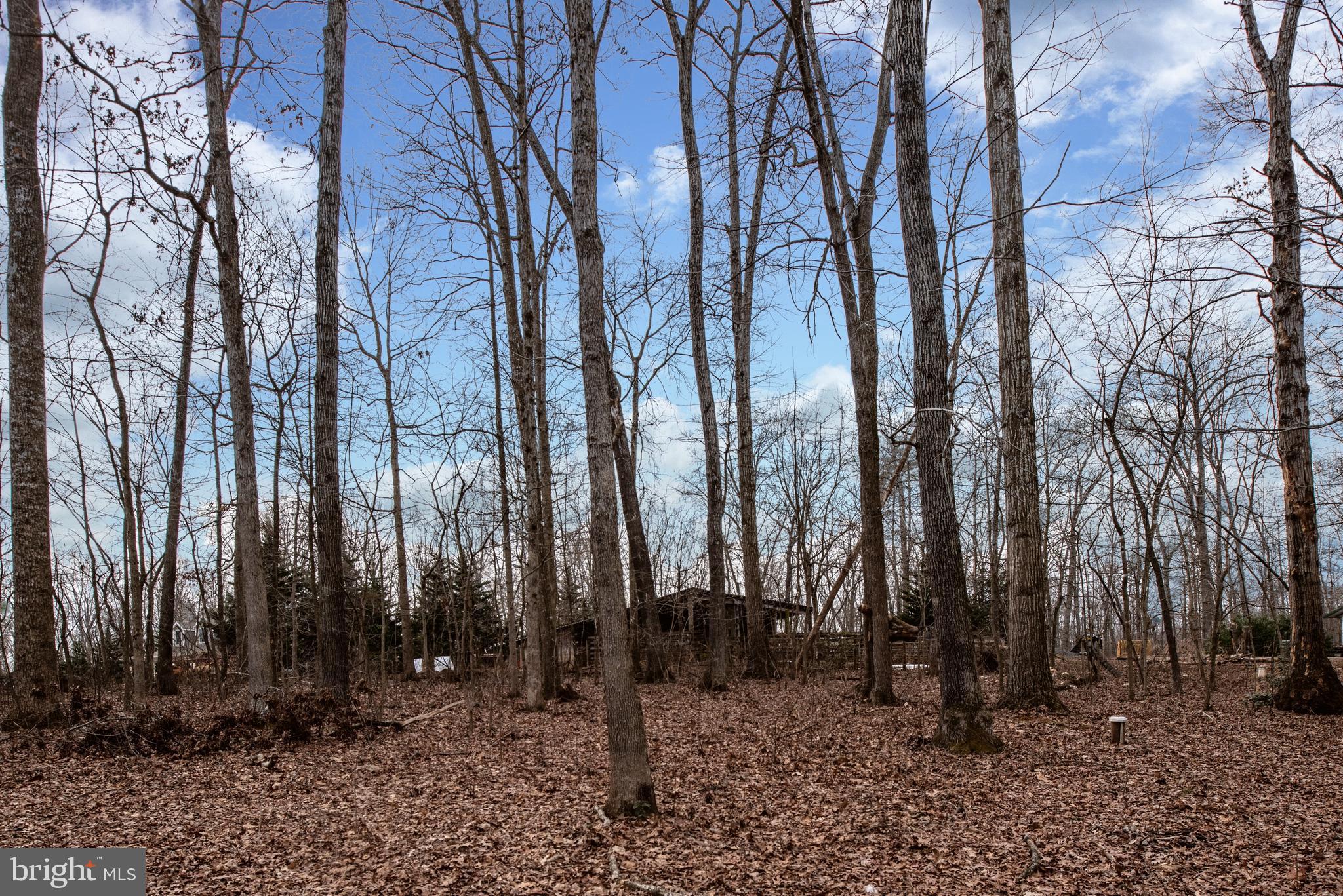 10328 Jamesons Mill Road Culpeper, VA 22701 - Photo 46 of 51 Gallery Image 46