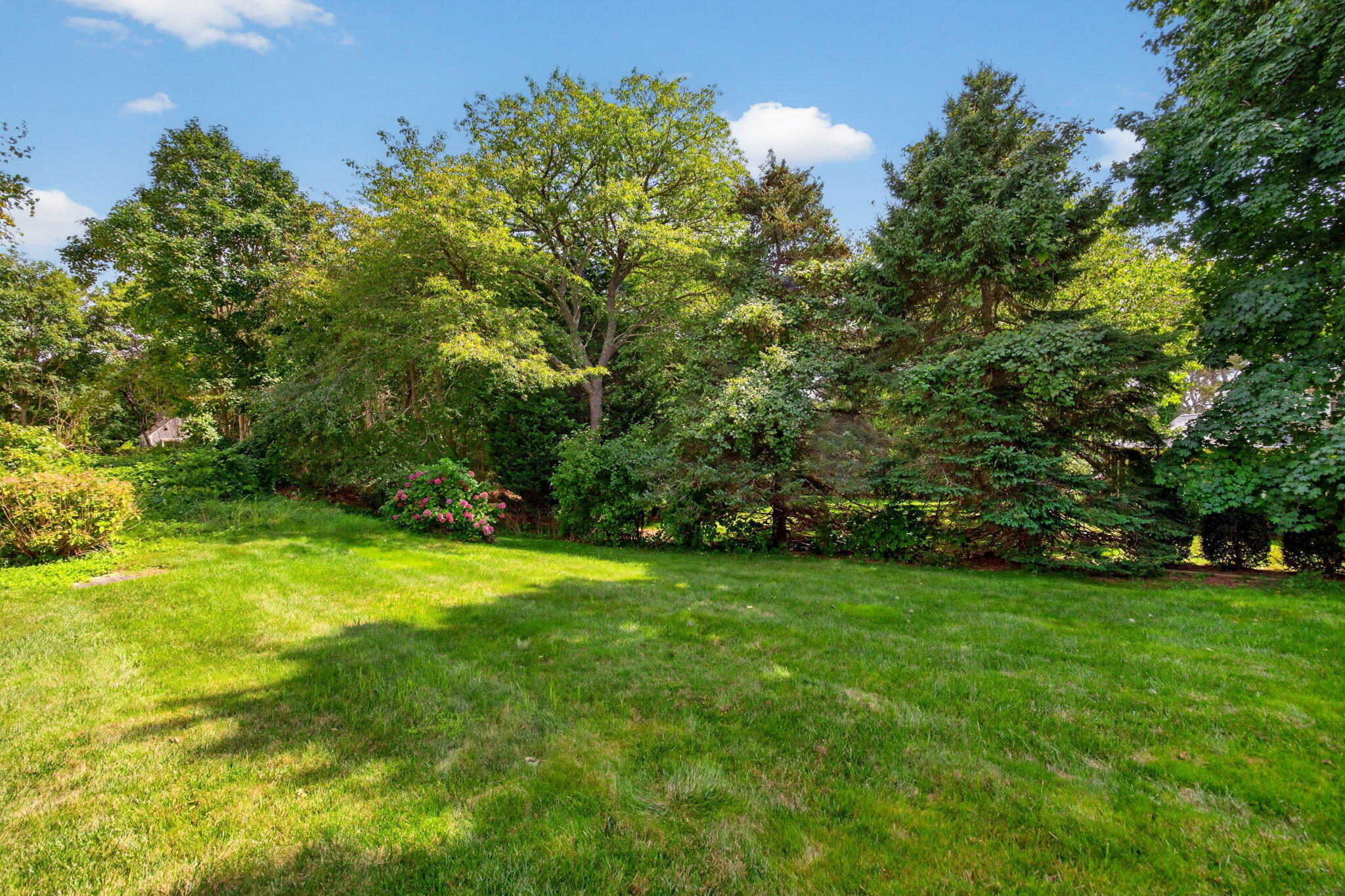 700 Crowell Road North Chatham, MA 02650 - Photo 30 of 35 41-8P0A8609