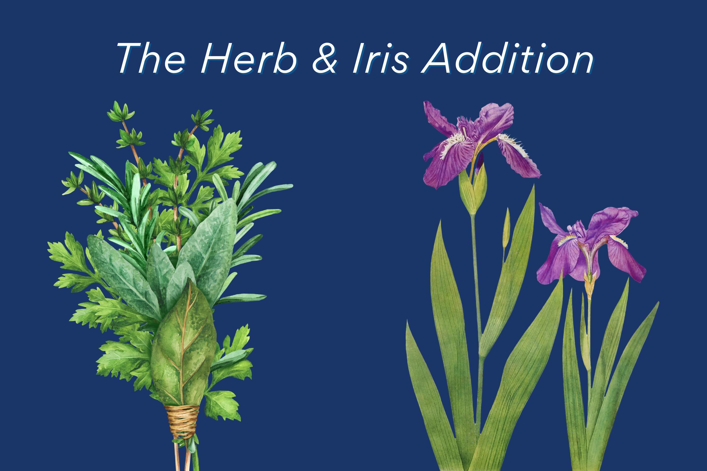Herb and Iris Addition