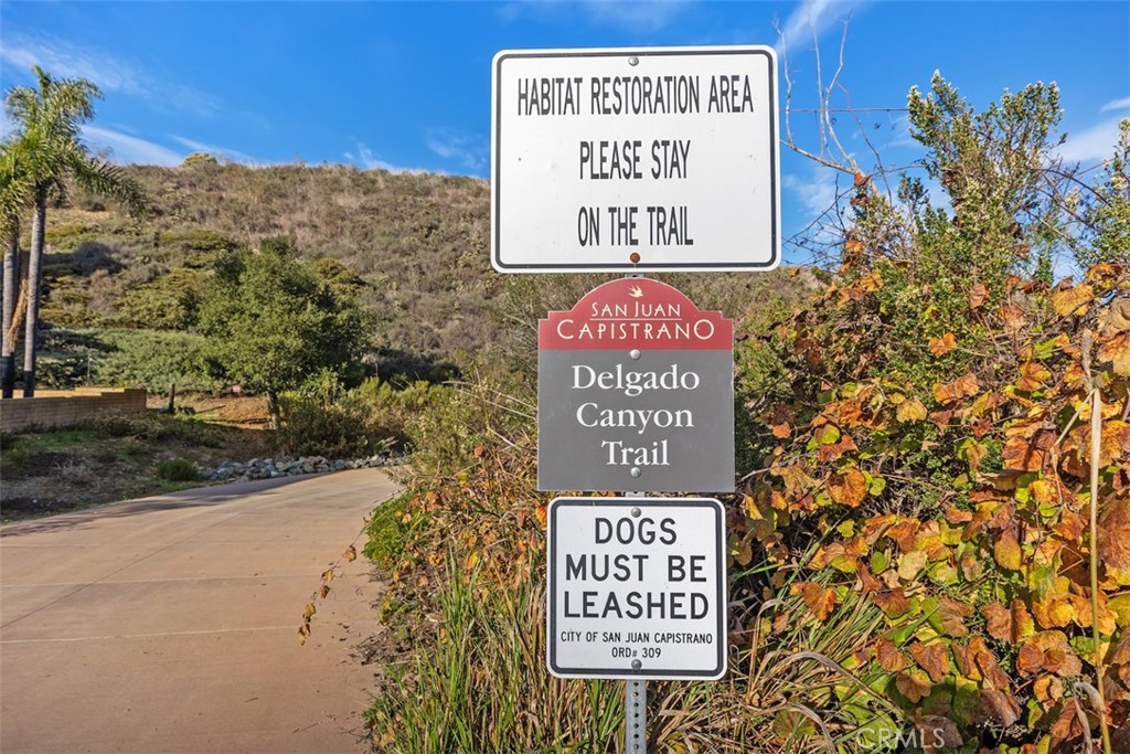 33575 Via De Agua San Juan Capistrano, CA 92675 - Photo 36 of 46