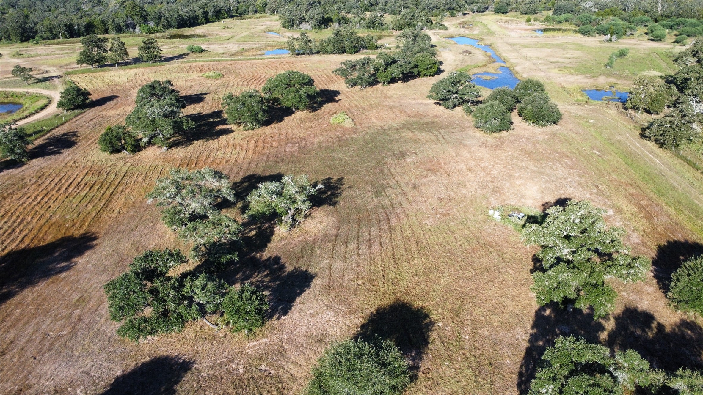 1044 Transeau Lane Columbus, TX 78934 - Photo 2 of 12