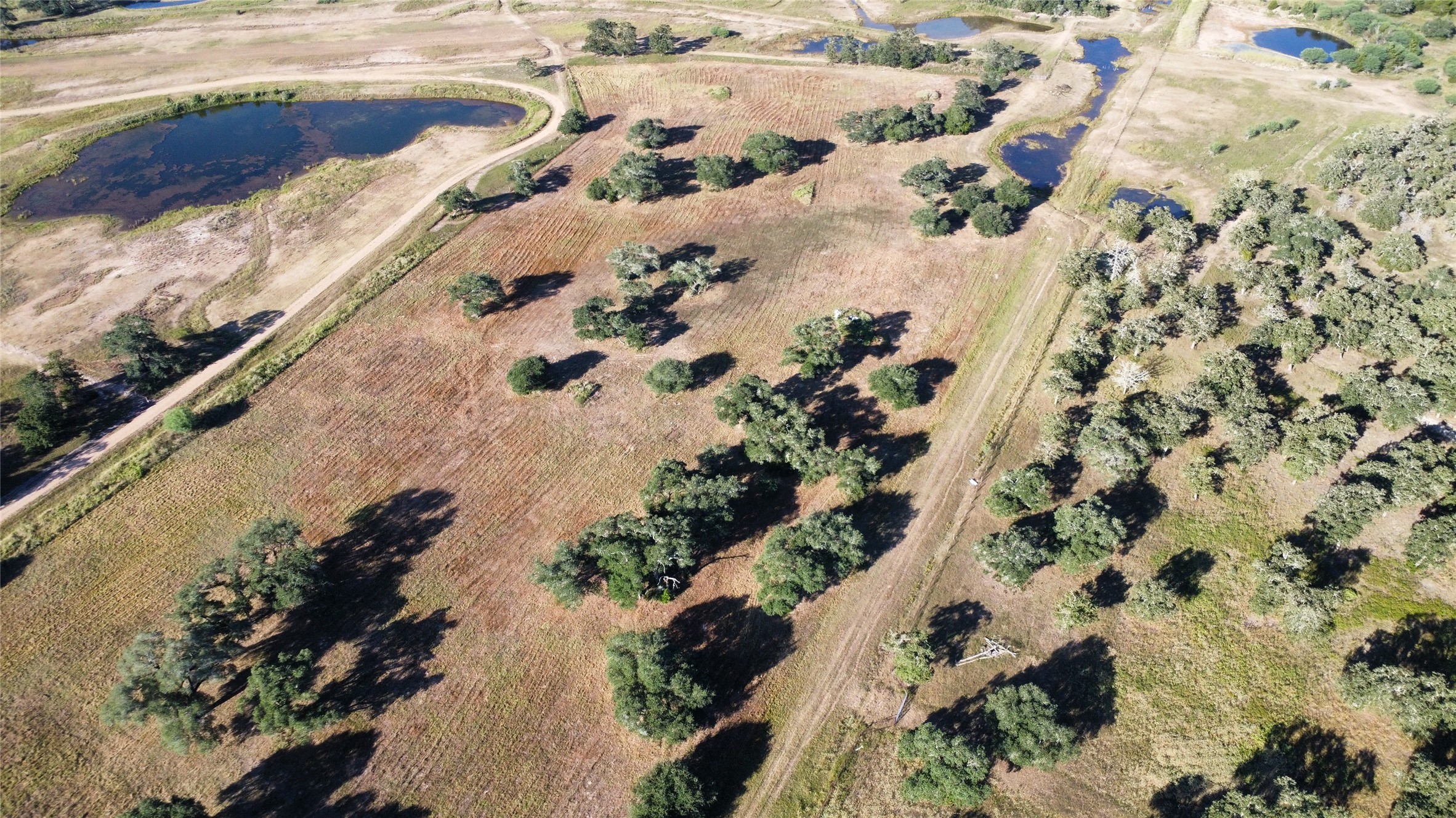 1044 Transeau Lane Columbus, TX 78934 - Photo 3 of 12